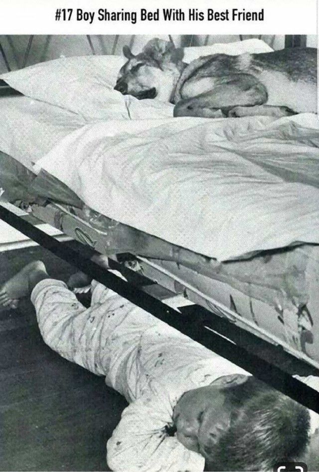 photofromhistory6_e