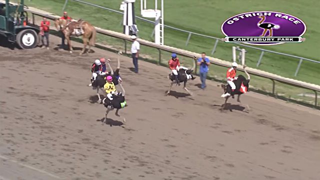 CanterburyPark5