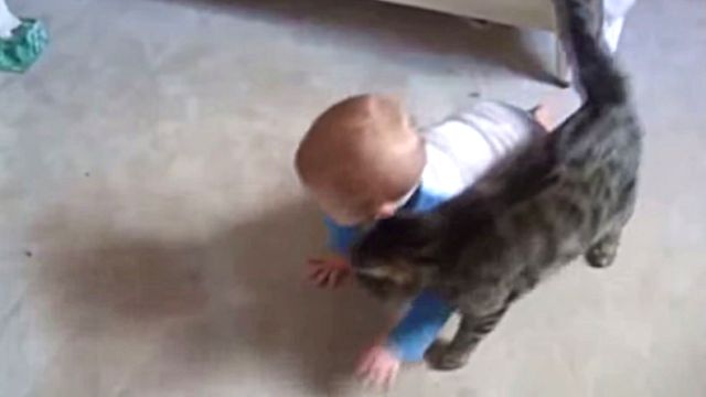 catsnbaby1