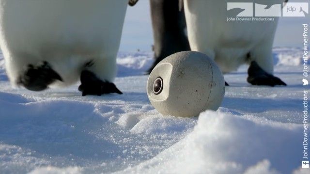 eggcam10_e