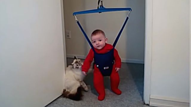 catsnbabies3