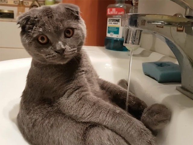 sink2_e