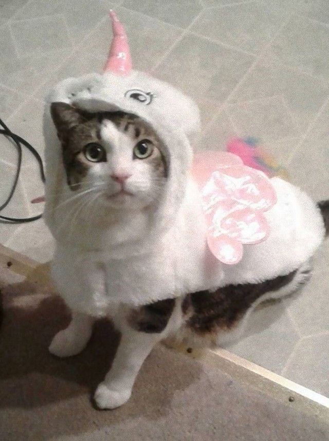 unicorn6_e