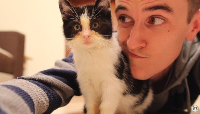 rescuekitten0_e