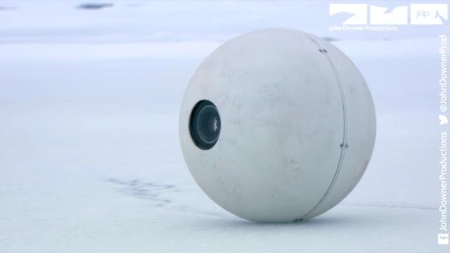 eggcam5_e