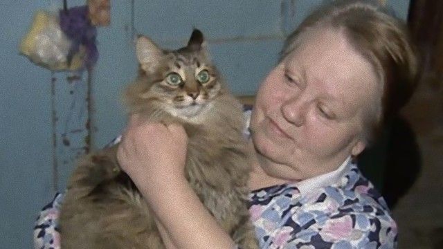 cat-1_e