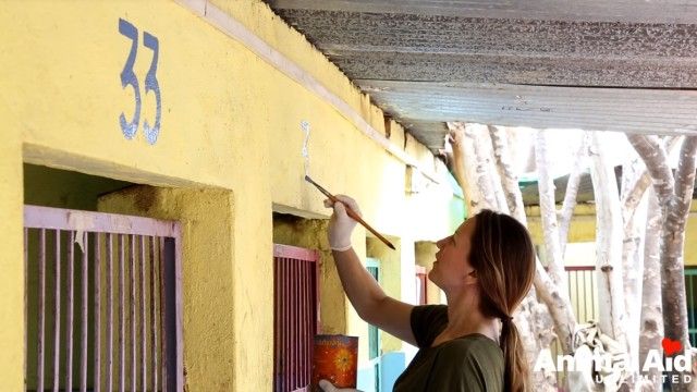 volunteeringatanimalaid15_e