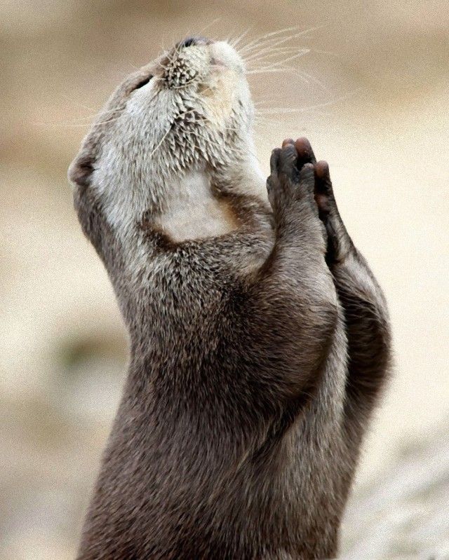 prayer15_e