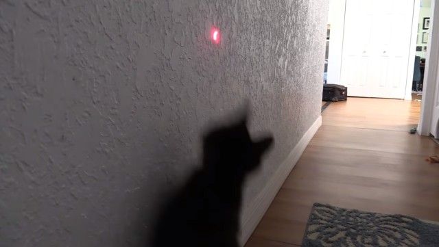 urcatispossessed13_e