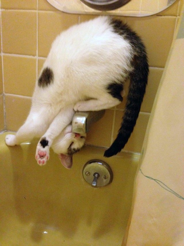 sink9_e