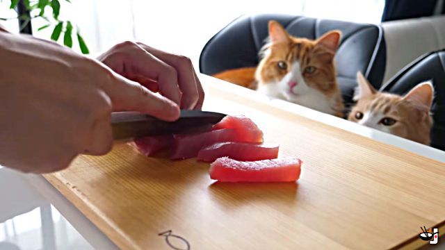 junskitchen3