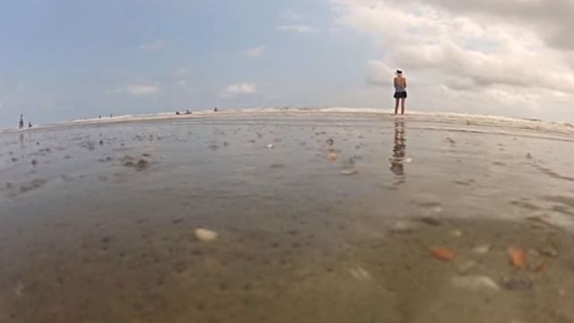 beachclam3