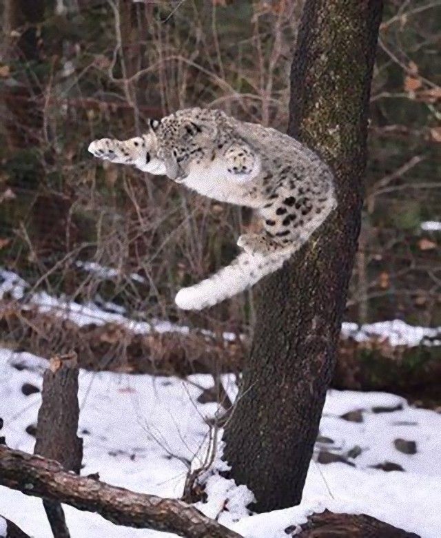 jump3_e