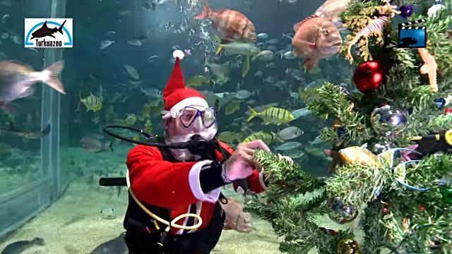divingsanta4