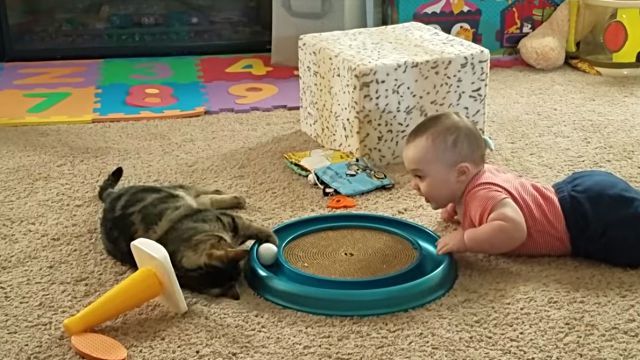 catsnbabies2