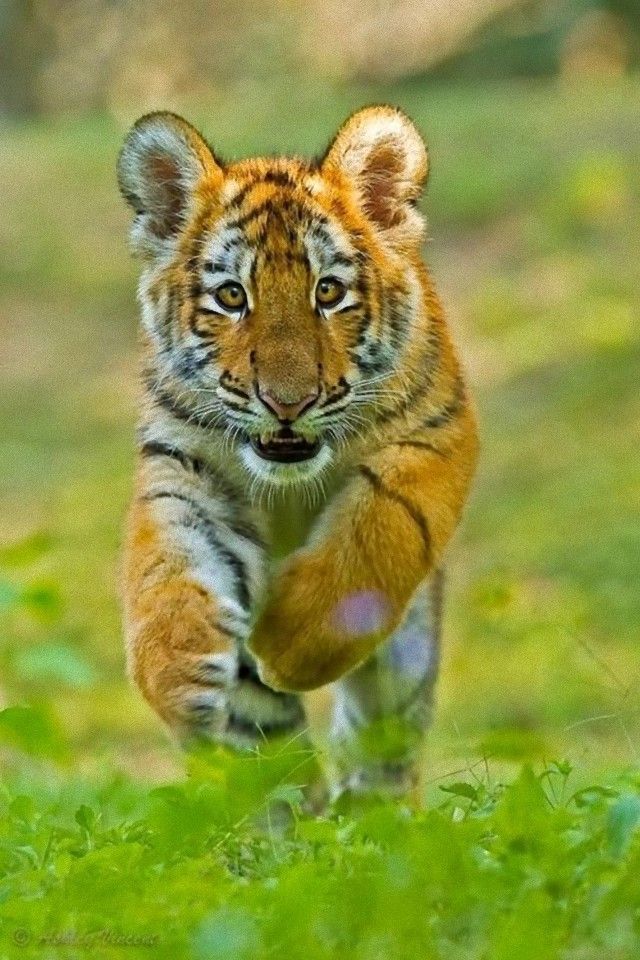 jump13_e