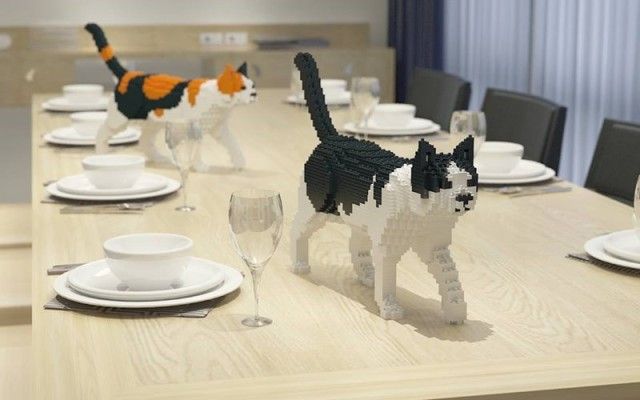 legocat8_e