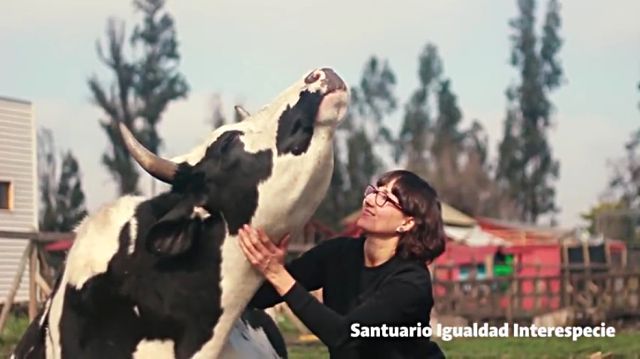 santuario2