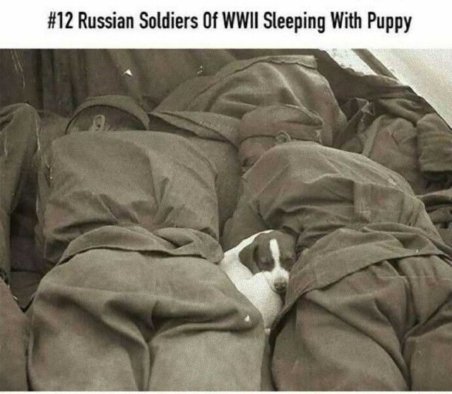 photofromhistory4_e