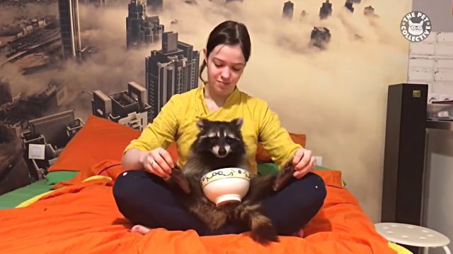 bestpet9