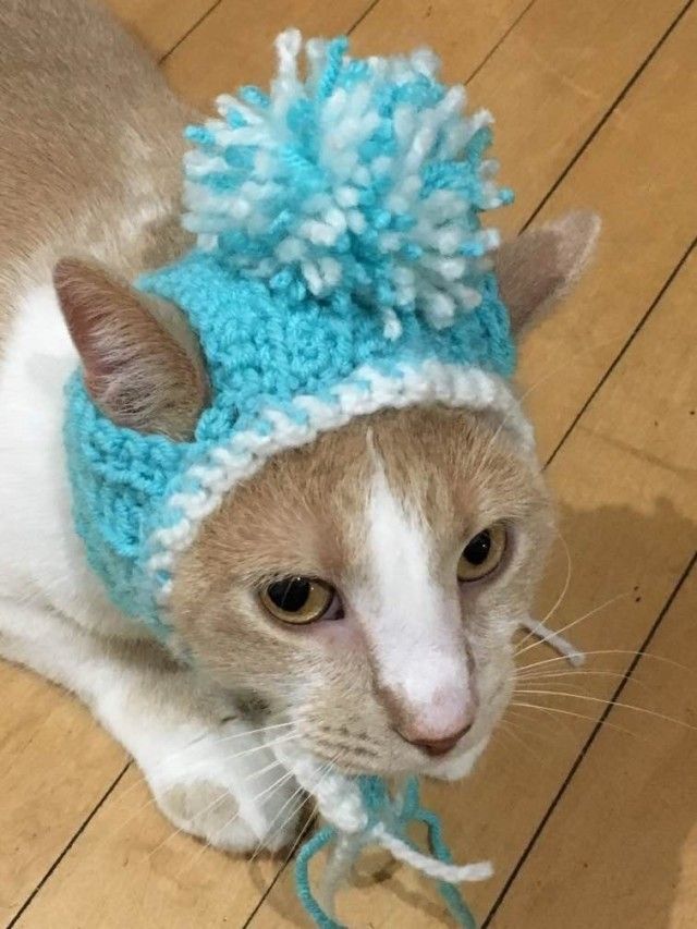 hat1_e