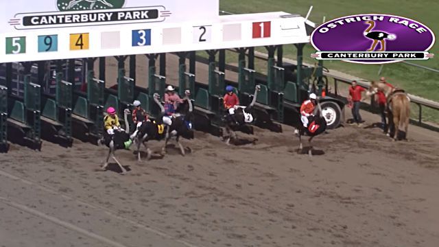 CanterburyPark4