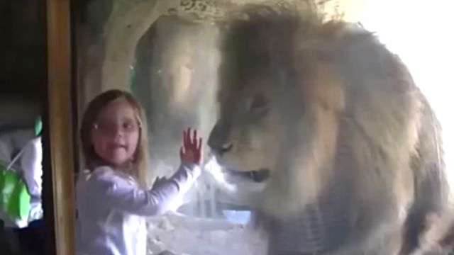 lionandgirl1