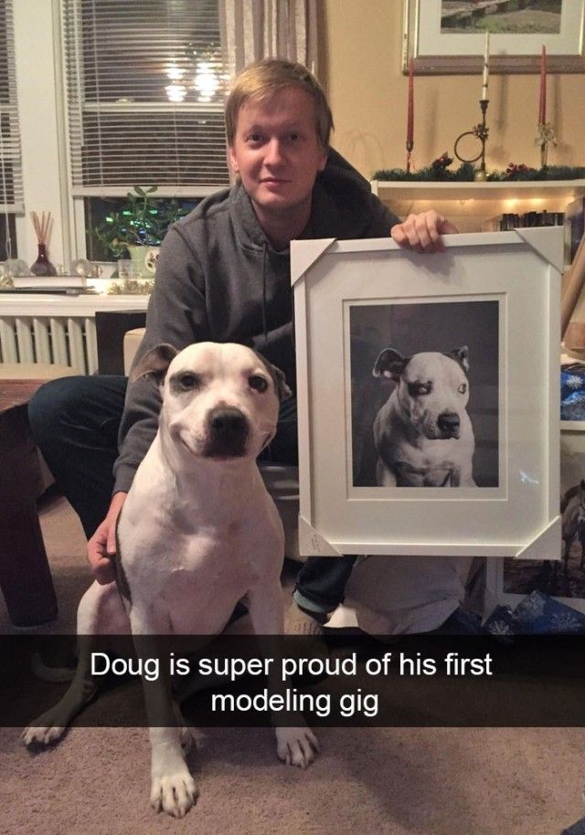 funnyanimals14_e