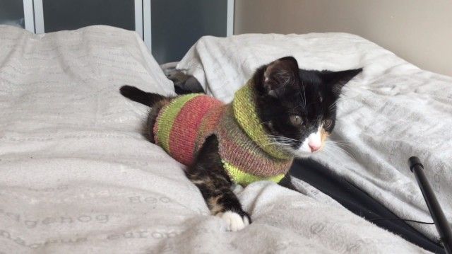 diysock0_e