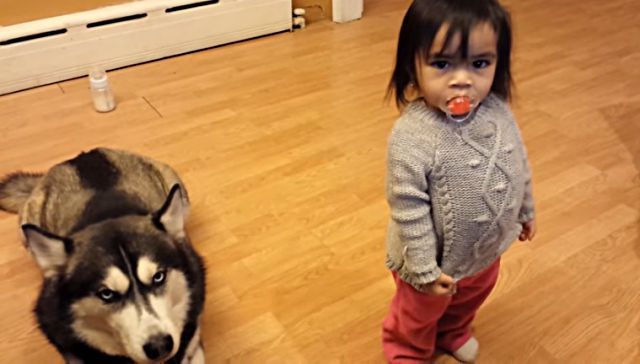 babyndog1