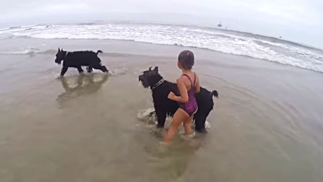 beachdogngirl2