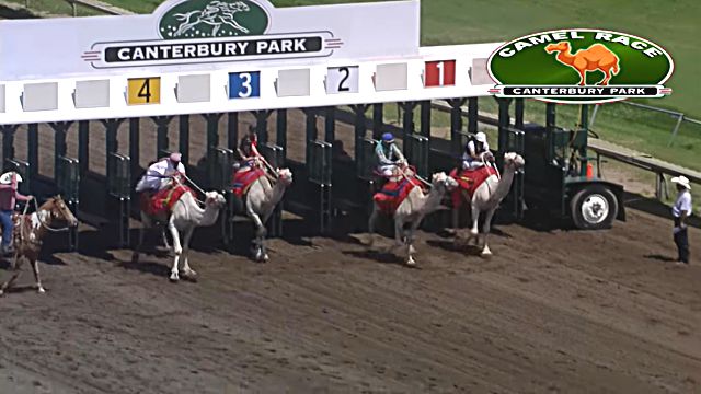 CanterburyPark2