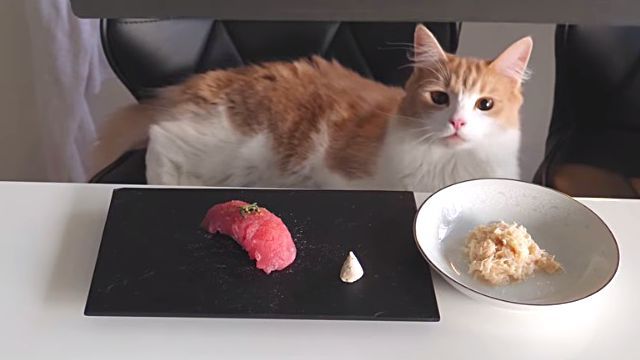 junskitchen11