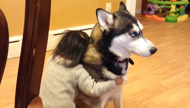 babyndog2