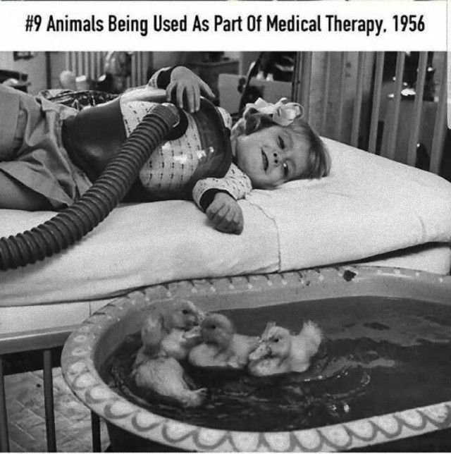 photofromhistory2_e