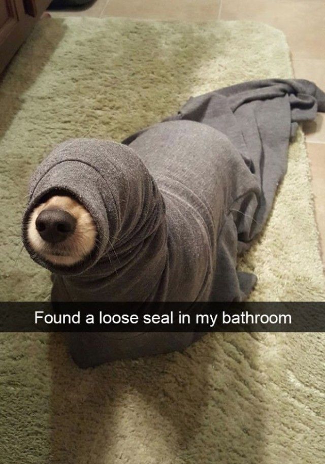 snapchat1_e