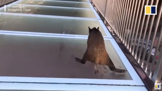 slippery1_e