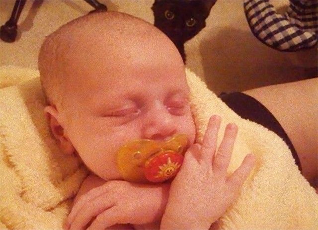 funny-cat-photobombs-48-58e5eb4311edb__605_e