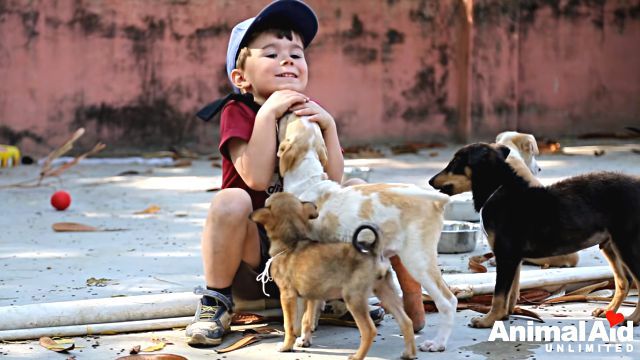 volunteeringatanimalaid18