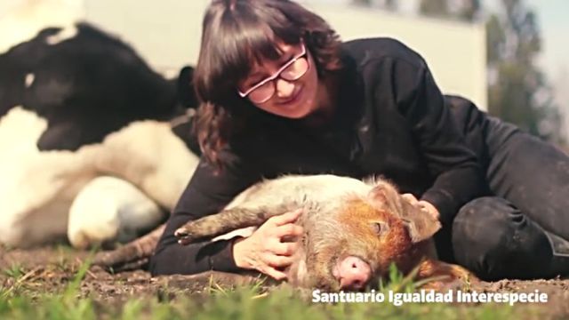 santuario3
