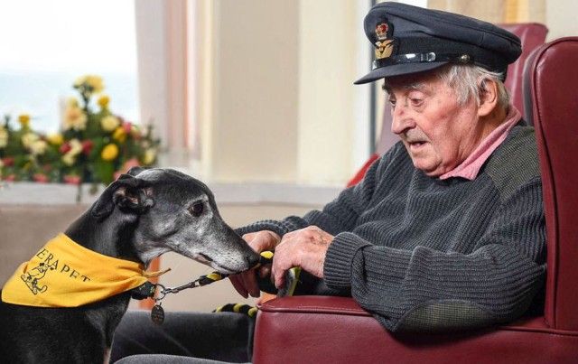 kennel-club-dog-photographer-competition-2017-14_e