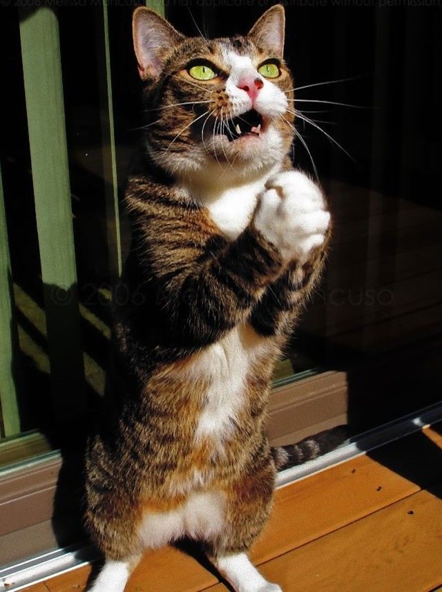 prayer5_e
