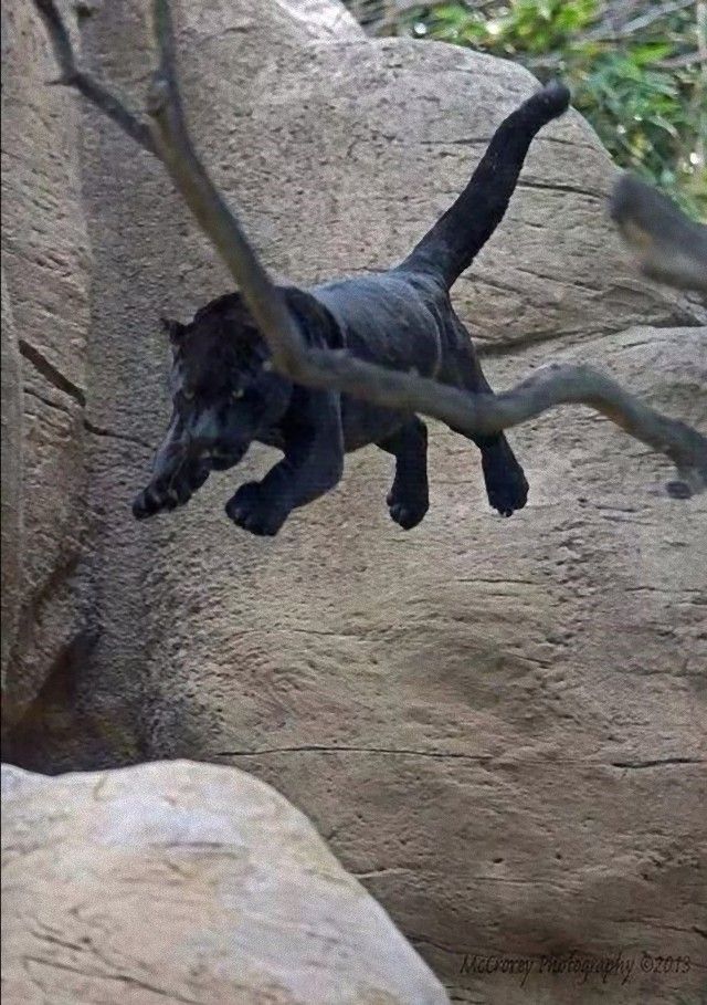 jump2_e
