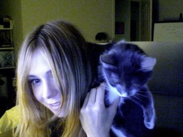 cats11ok