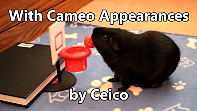 guineapig5