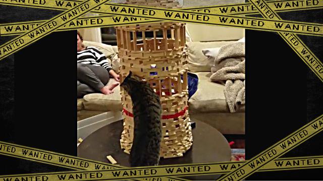 cattower0-frame