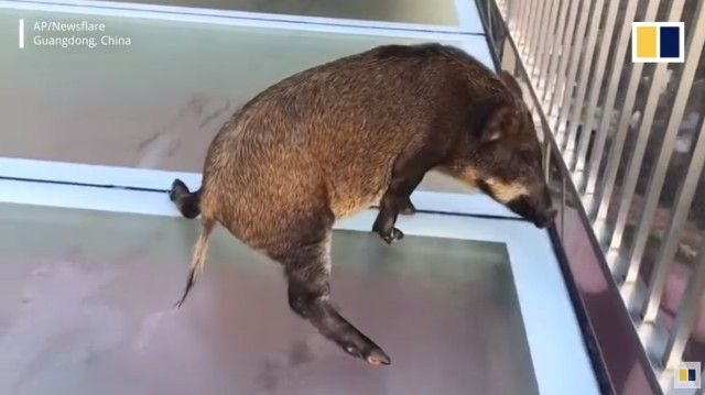 slippery2_e
