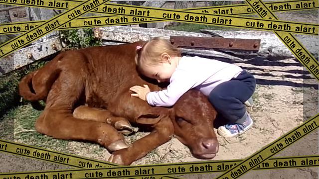 cow-f [www-frame