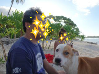 BlogPaint