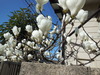 DSCN2495